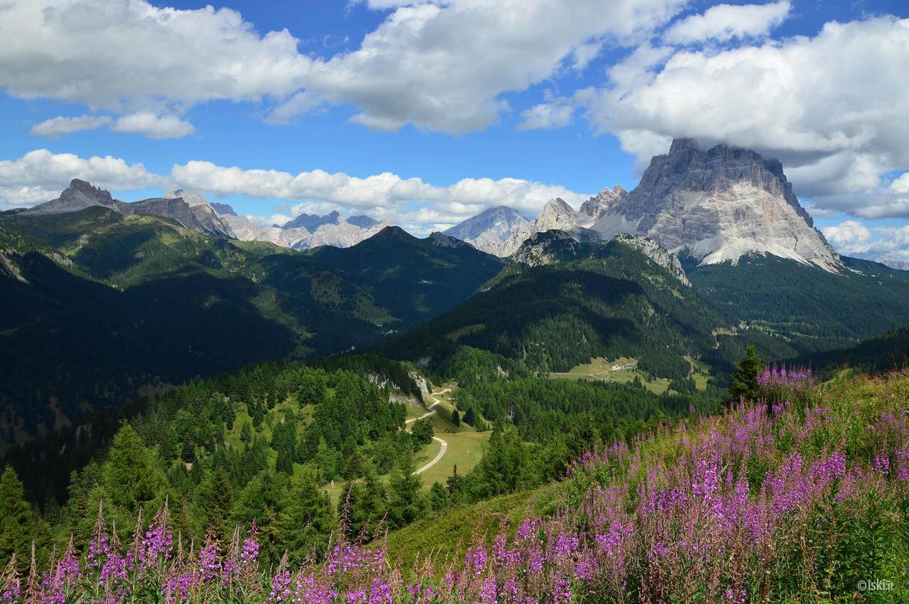 Garni La Rondine Hotel Selva di Cadore Eksteriør billede
